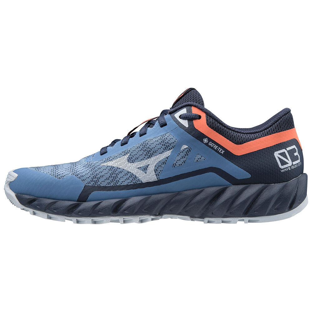 Scarpe Da Trail Running Mizuno Wave Ibuki 3 GTX Donna - Blu - 03952-EZJU